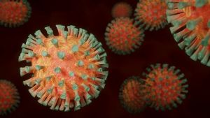 A koronavírus a nemzőképességre is hathat