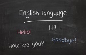 Magyar alkalmazás nyűgözi le a világ nyelvtanulóit